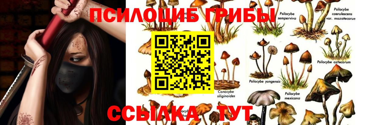 Псилоцибиновые грибы ЛСД  Вход с VPN  Хасавюрт 